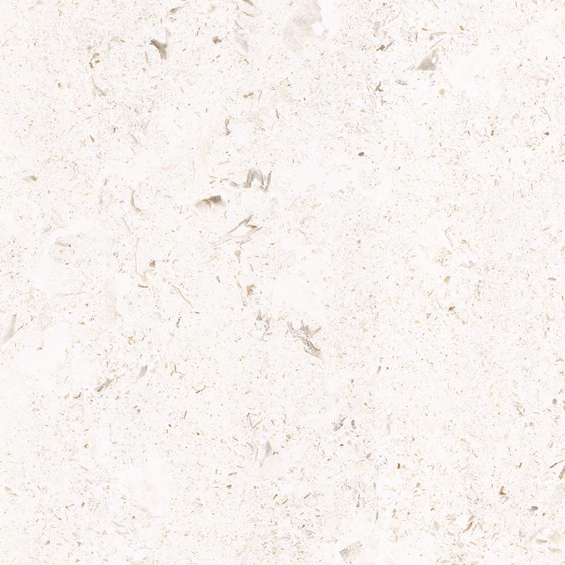 MYRA BRUSHED - Image 4