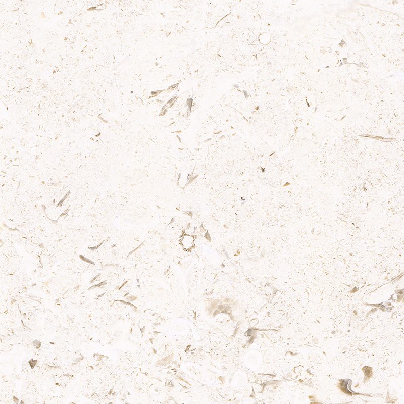 MYRA BRUSHED - Image 3